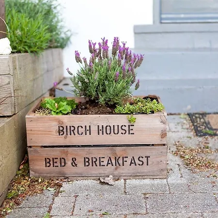 Birch House Bed & Breakfast-2